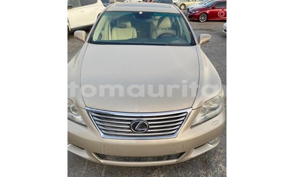 Acheter Import Voiture Lexus LS Autre à Import - Dubai, Adrar Acheter Import Voiture Lexus LS Autre à Import - Dubai, Adrar