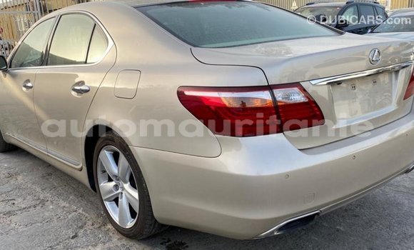 Acheter Import Voiture Lexus LS Autre à Import - Dubai, Adrar Acheter Import Voiture Lexus LS Autre à Import - Dubai, Adrar