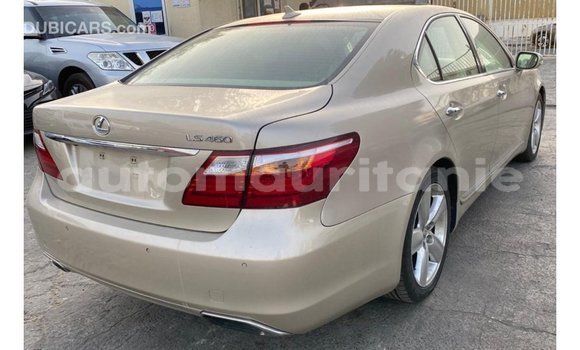 Acheter Import Voiture Lexus LS Autre à Import - Dubai, Adrar Acheter Import Voiture Lexus LS Autre à Import - Dubai, Adrar