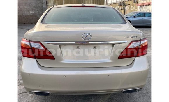 Acheter Import Voiture Lexus LS Autre à Import - Dubai, Adrar Acheter Import Voiture Lexus LS Autre à Import - Dubai, Adrar