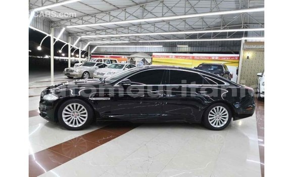 Buy Import Jaguar XJ Black Car in Import - Dubai in Adrar Buy Import Jaguar XJ Black Car in Import - Dubai in Adrar