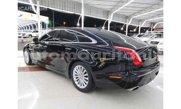 Buy Import Jaguar XJ Black Car in Import - Dubai in Adrar Buy Import Jaguar XJ Black Car in Import - Dubai in Adrar
