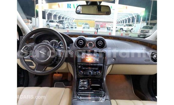 Buy Import Jaguar XJ Black Car in Import - Dubai in Adrar Buy Import Jaguar XJ Black Car in Import - Dubai in Adrar