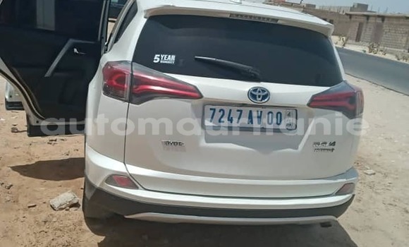 Buy Used Toyota RAV4 White Car in Nouakchott in West Nouakchott Buy Used Toyota RAV4 White Car in Nouakchott in West Nouakchott