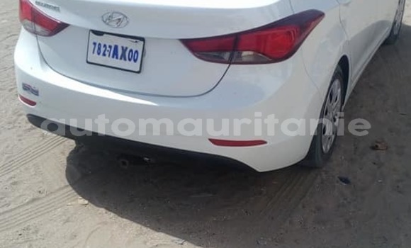 Buy Used Hyundai Elantra White Car in Nouakchott in West Nouakchott Buy Used Hyundai Elantra White Car in Nouakchott in West Nouakchott