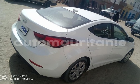 Buy Used Hyundai Elantra White Car in Nouakchott in West Nouakchott Buy Used Hyundai Elantra White Car in Nouakchott in West Nouakchott