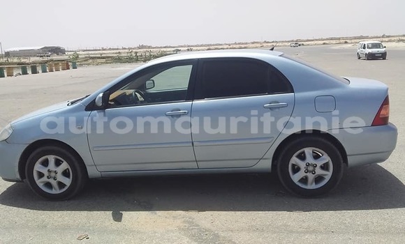 Acheter Occasion Voiture Toyota Corolla Gris à Adel Bagrou, Hodh ech Chargui Acheter Occasion Voiture Toyota Corolla Gris à Adel Bagrou, Hodh ech Chargui