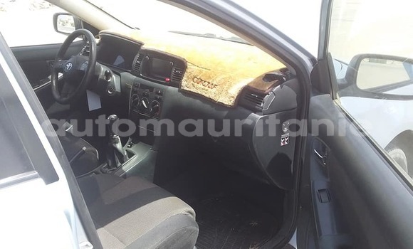 Acheter Occasion Voiture Toyota Corolla Gris à Adel Bagrou, Hodh ech Chargui Acheter Occasion Voiture Toyota Corolla Gris à Adel Bagrou, Hodh ech Chargui