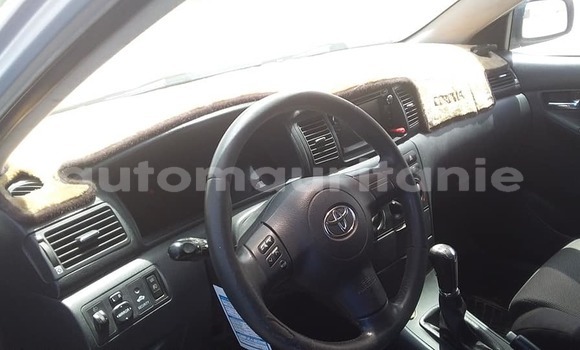 Acheter Occasion Voiture Toyota Corolla Gris à Adel Bagrou, Hodh ech Chargui Acheter Occasion Voiture Toyota Corolla Gris à Adel Bagrou, Hodh ech Chargui