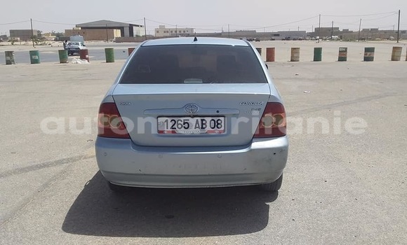 Acheter Occasion Voiture Toyota Corolla Gris à Adel Bagrou, Hodh ech Chargui Acheter Occasion Voiture Toyota Corolla Gris à Adel Bagrou, Hodh ech Chargui