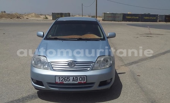 Acheter Occasion Voiture Toyota Corolla Gris à Adel Bagrou, Hodh ech Chargui Acheter Occasion Voiture Toyota Corolla Gris à Adel Bagrou, Hodh ech Chargui