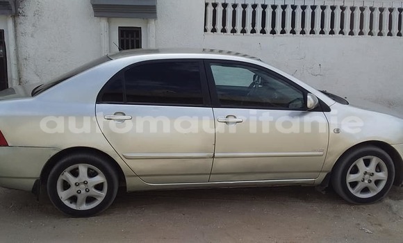 Acheter Occasion Voiture Toyota Corolla Gris à Adel Bagrou, Hodh ech Chargui Acheter Occasion Voiture Toyota Corolla Gris à Adel Bagrou, Hodh ech Chargui