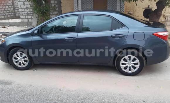 Buy Used Toyota Corolla Blue Car in Adel Bagrou in Hodh ech Chargui Buy Used Toyota Corolla Blue Car in Adel Bagrou in Hodh ech Chargui