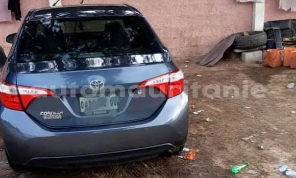 Buy Used Toyota Corolla Blue Car in Adel Bagrou in Hodh ech Chargui Buy Used Toyota Corolla Blue Car in Adel Bagrou in Hodh ech Chargui