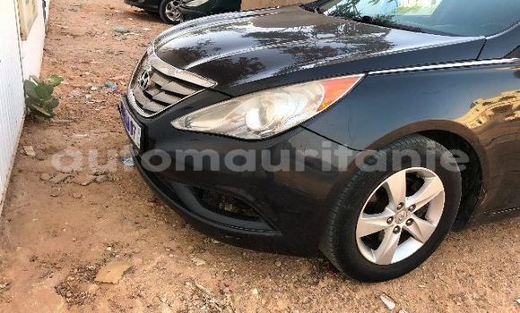 Buy Used Hyundai Elantra Black Car in Adel Bagrou in Hodh ech Chargui Buy Used Hyundai Elantra Black Car in Adel Bagrou in Hodh ech Chargui