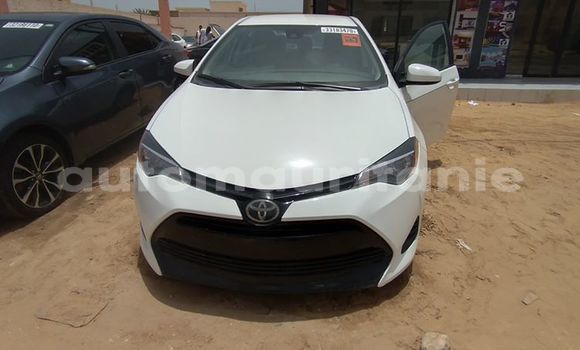 Buy Used Toyota Corolla White Car in Adel Bagrou in Hodh ech Chargui Buy Used Toyota Corolla White Car in Adel Bagrou in Hodh ech Chargui