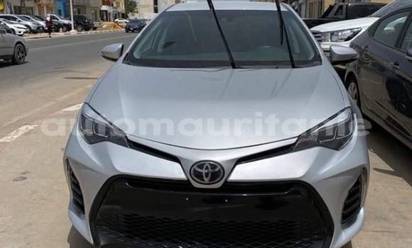 Buy Used Toyota Corolla Silver Car in Adel Bagrou in Hodh ech Chargui Buy Used Toyota Corolla Silver Car in Adel Bagrou in Hodh ech Chargui