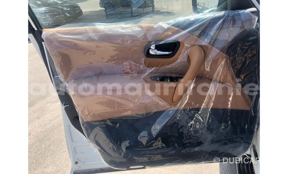 Buy Import Nissan Patrol White Car in Import - Dubai in Adrar Buy Import Nissan Patrol White Car in Import - Dubai in Adrar
