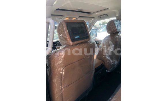 Buy Import Nissan Patrol White Car in Import - Dubai in Adrar Buy Import Nissan Patrol White Car in Import - Dubai in Adrar