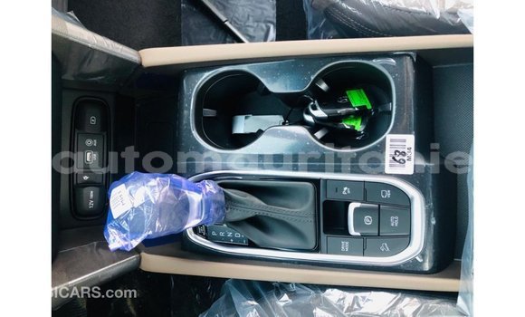 Buy Import Hyundai Santa Fe Brown Car in Import - Dubai in Adrar Buy Import Hyundai Santa Fe Brown Car in Import - Dubai in Adrar