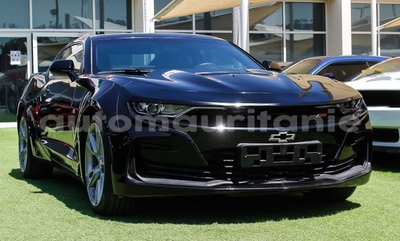 Acheter Import Voiture Chevrolet Camaro Noir à Import - Dubai, Adrar