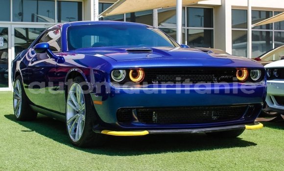 Buy Import Dodge Challenger Blue Car in Import - Dubai in Adrar