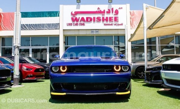 Acheter Import Voiture Dodge Challenger Bleu à Import - Dubai, Adrar Acheter Import Voiture Dodge Challenger Bleu à Import - Dubai, Adrar