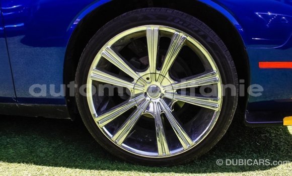 Acheter Import Voiture Dodge Challenger Bleu à Import - Dubai, Adrar Acheter Import Voiture Dodge Challenger Bleu à Import - Dubai, Adrar