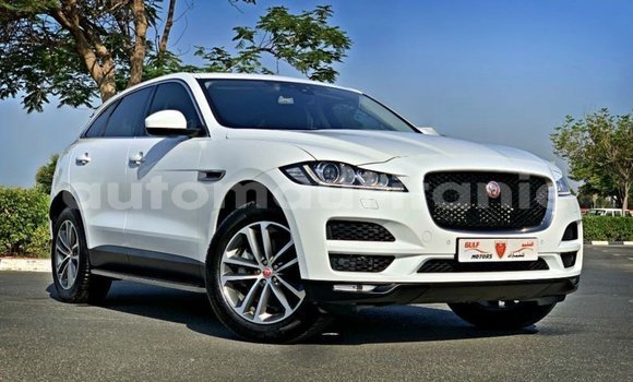 Buy Import Jaguar F-Pace White Car in Import - Dubai in Adrar