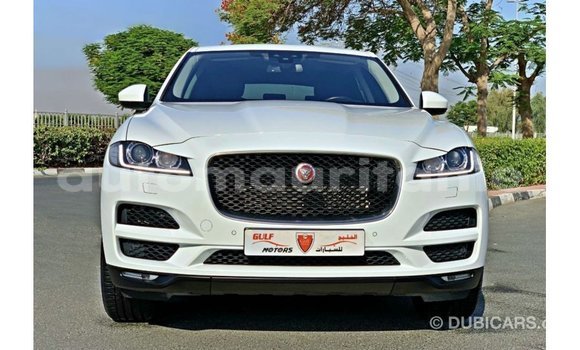 Acheter Import Voiture Jaguar F-Pace Blanc à Import - Dubai, Adrar Acheter Import Voiture Jaguar F-Pace Blanc à Import - Dubai, Adrar