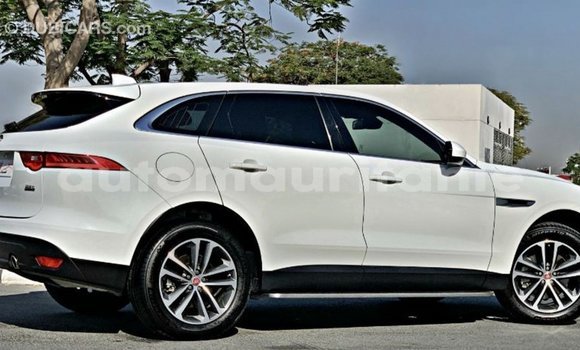 Acheter Import Voiture Jaguar F-Pace Blanc à Import - Dubai, Adrar Acheter Import Voiture Jaguar F-Pace Blanc à Import - Dubai, Adrar
