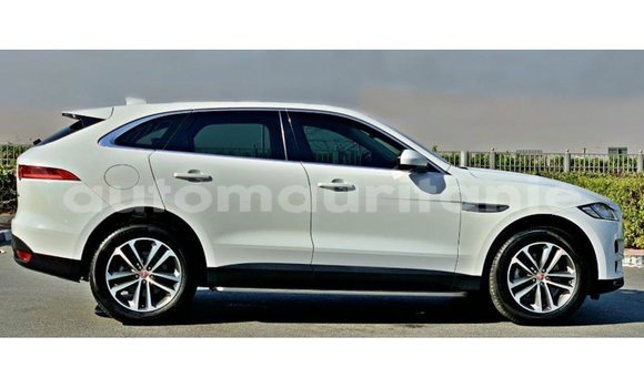 Acheter Import Voiture Jaguar F-Pace Blanc à Import - Dubai, Adrar Acheter Import Voiture Jaguar F-Pace Blanc à Import - Dubai, Adrar