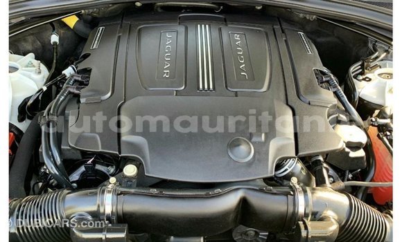 Acheter Import Voiture Jaguar F-Pace Blanc à Import - Dubai, Adrar Acheter Import Voiture Jaguar F-Pace Blanc à Import - Dubai, Adrar