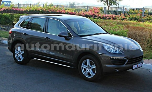 Buy Import Porsche Cayenne Brown Car in Import - Dubai in Adrar