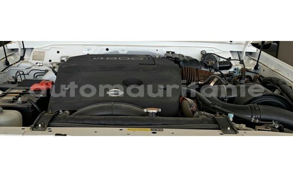 Acheter Import Voiture Nissan Patrol Blanc à Import - Dubai, Adrar Acheter Import Voiture Nissan Patrol Blanc à Import - Dubai, Adrar
