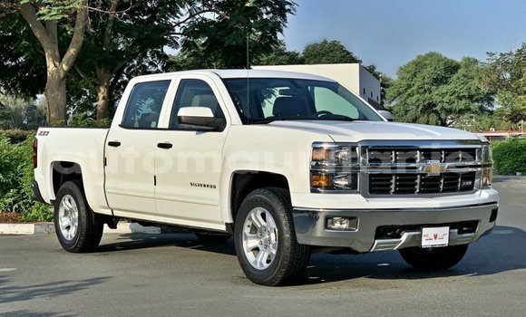 Buy Import Chevrolet Silverado White Car in Import - Dubai in Adrar