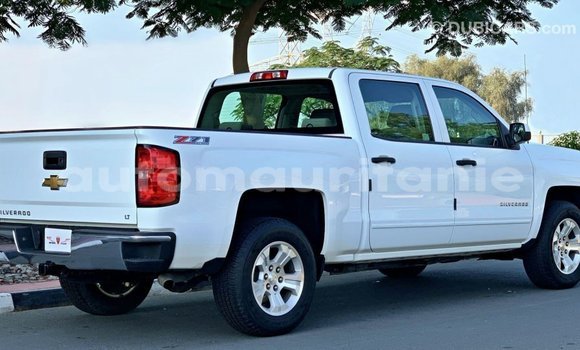 Acheter Import Voiture Chevrolet Silverado Blanc à Import - Dubai, Adrar Acheter Import Voiture Chevrolet Silverado Blanc à Import - Dubai, Adrar