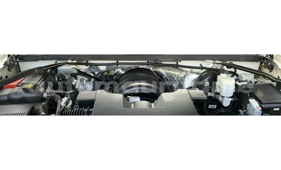 Acheter Import Voiture Chevrolet Silverado Blanc à Import - Dubai, Adrar Acheter Import Voiture Chevrolet Silverado Blanc à Import - Dubai, Adrar