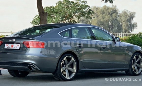 Acheter Import Voiture Audi 100 Autre à Import - Dubai, Adrar Acheter Import Voiture Audi 100 Autre à Import - Dubai, Adrar