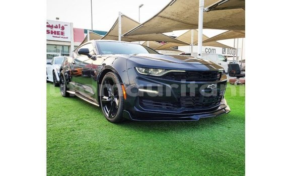 Buy Import Chevrolet Camaro Black Car in Import - Dubai in Adrar