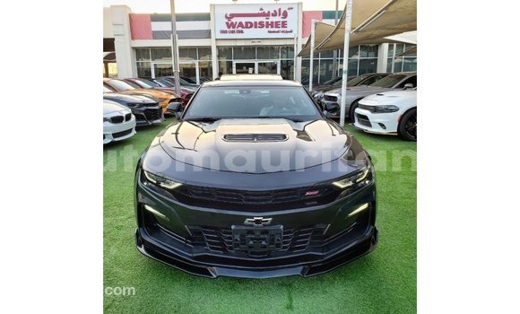 Acheter Import Voiture Chevrolet Camaro Noir à Import - Dubai, Adrar Acheter Import Voiture Chevrolet Camaro Noir à Import - Dubai, Adrar