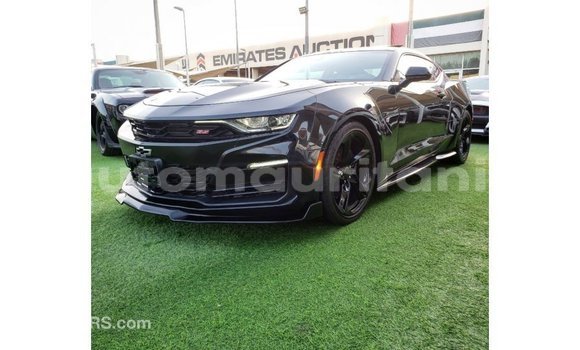 Acheter Import Voiture Chevrolet Camaro Noir à Import - Dubai, Adrar Acheter Import Voiture Chevrolet Camaro Noir à Import - Dubai, Adrar
