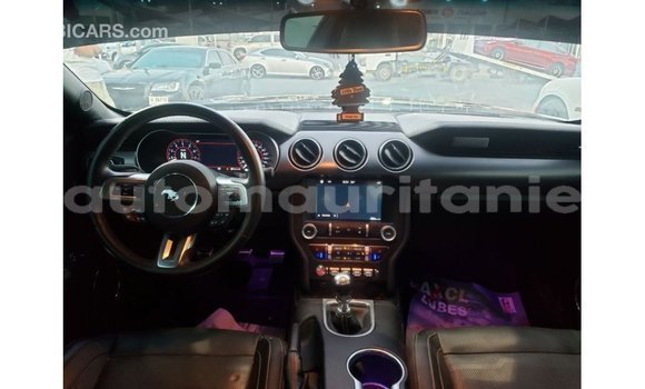 Acheter Import Voiture Ford Mustang Noir à Import - Dubai, Adrar Acheter Import Voiture Ford Mustang Noir à Import - Dubai, Adrar