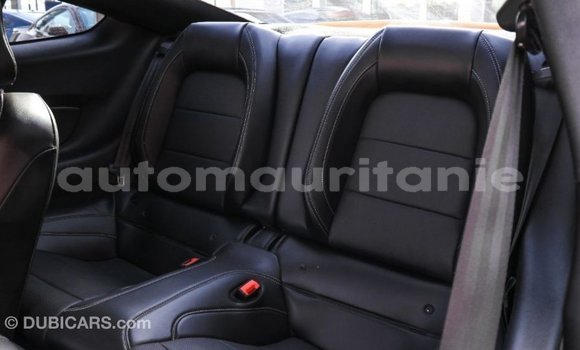 Acheter Import Voiture Ford Mustang Autre à Import - Dubai, Adrar Acheter Import Voiture Ford Mustang Autre à Import - Dubai, Adrar