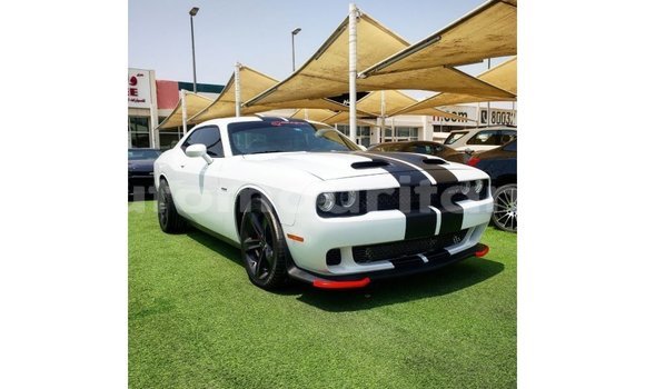 Buy Import Dodge Challenger White Car in Import - Dubai in Adrar