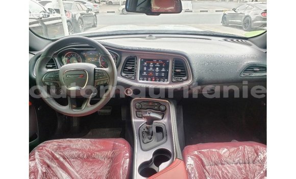 Acheter Import Voiture Dodge Challenger Blanc à Import - Dubai, Adrar Acheter Import Voiture Dodge Challenger Blanc à Import - Dubai, Adrar