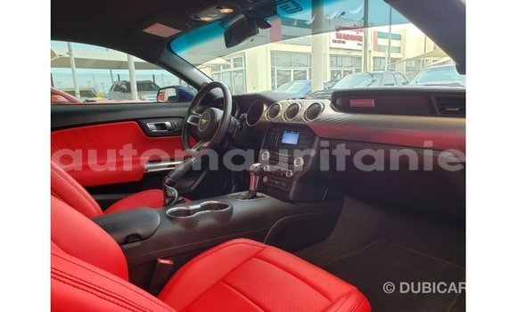 Acheter Import Voiture Ford Mustang Bleu à Import - Dubai, Adrar Acheter Import Voiture Ford Mustang Bleu à Import - Dubai, Adrar