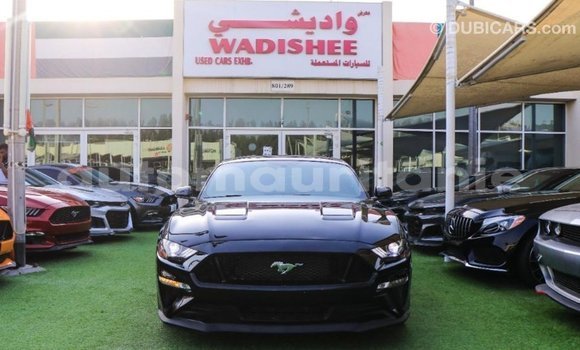 Acheter Import Voiture Ford Mustang Noir à Import - Dubai, Adrar Acheter Import Voiture Ford Mustang Noir à Import - Dubai, Adrar