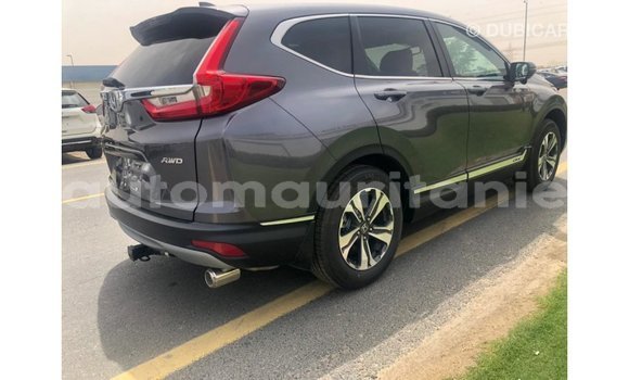 Buy Import Honda C Other Bike in Import - Dubai in Adrar Buy Import Honda C Other Bike in Import - Dubai in Adrar