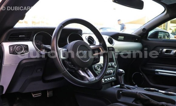 Acheter Import Voiture Ford Mustang Noir à Import - Dubai, Adrar Acheter Import Voiture Ford Mustang Noir à Import - Dubai, Adrar